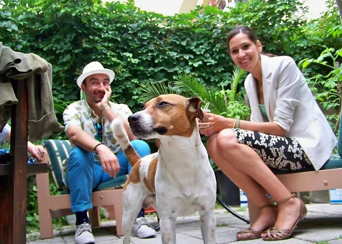 йо хо * Варна